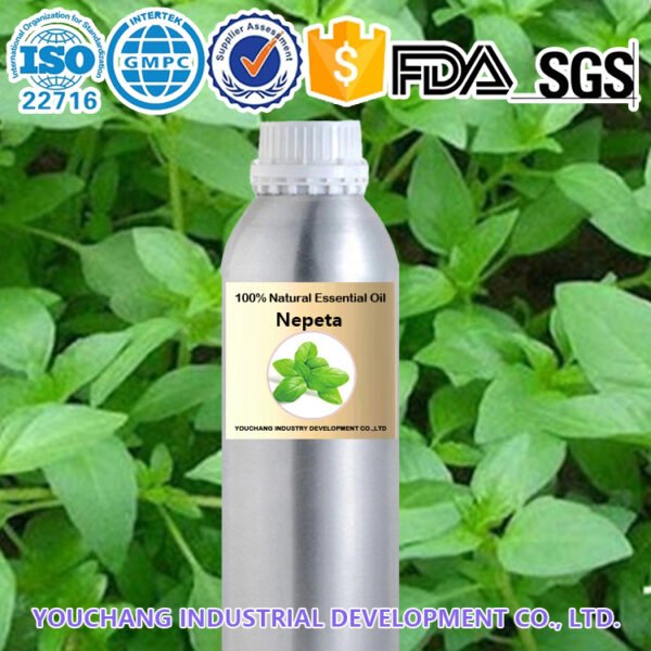 Nepeta Natural Healing Oils