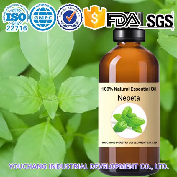 Nepeta Natural Healing Oils