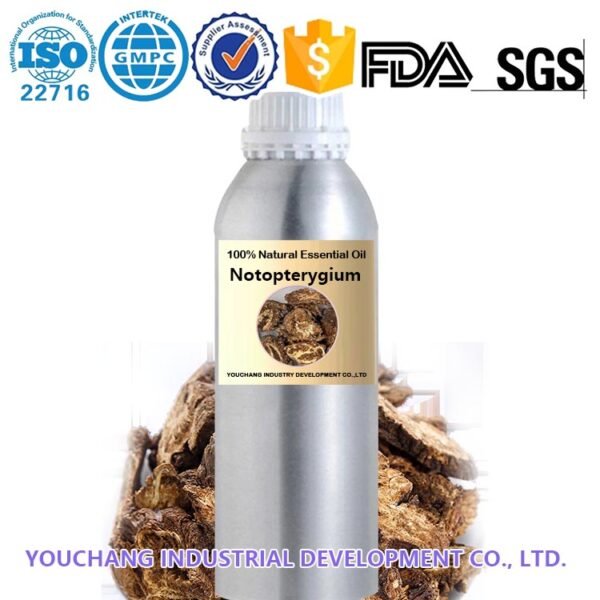 Notopterygium Incisum Essential Oil
