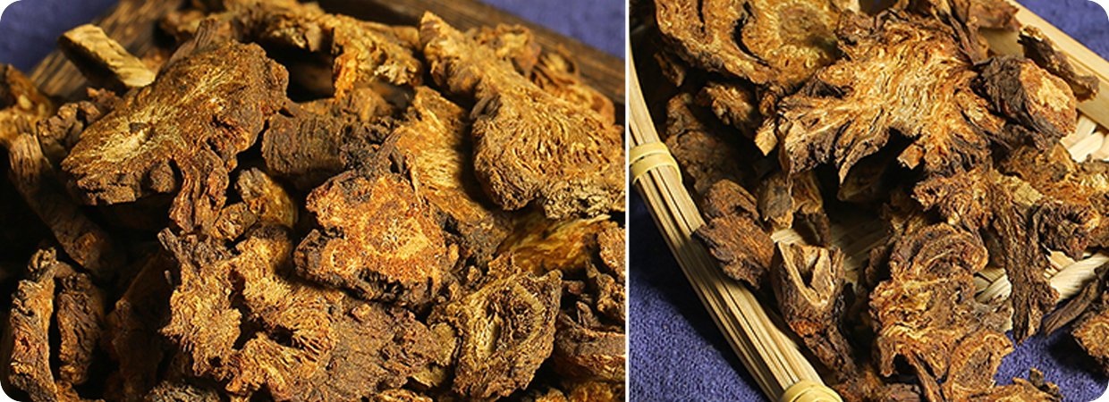 Notopterygium Incisum Essential Oil 