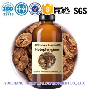 Notopterygium Incisum Essential Oil