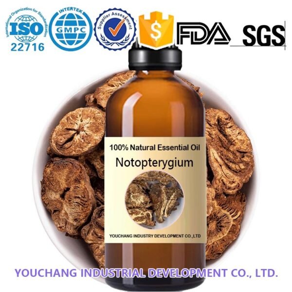Notopterygium Incisum Essential Oil
