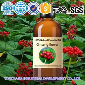 Panax Ginseng Flower Essential Oil