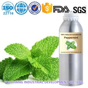 Peppermint Essential Oil