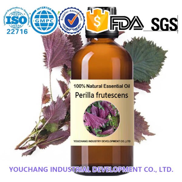 Perilla Top Supplier of Bulk Essential Oils