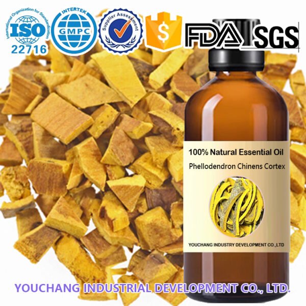 Phellodendron Chinense Cortex Affordable Essential Oils