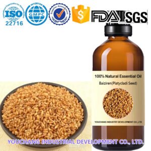 Platycladi Seed CO₂ Extract