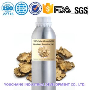 Premium Ligusticum Chuanxiong Hort Essential Oil