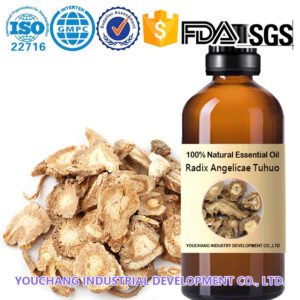 Premium Radix Angelicae Tuhuo Essential Oil