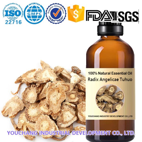 Premium Radix Angelicae Tuhuo Essential Oil