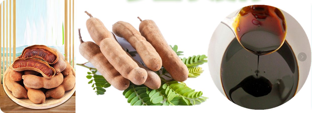 Premium Tamarind Concrete Oil 