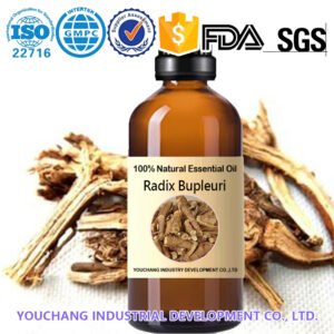 Radix Bupleuri Essential Oil