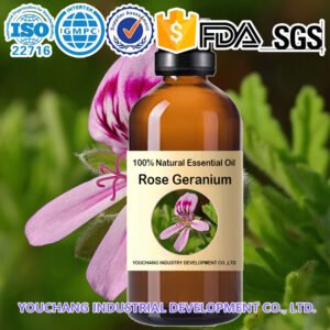 Rose Geranium Essential Oil