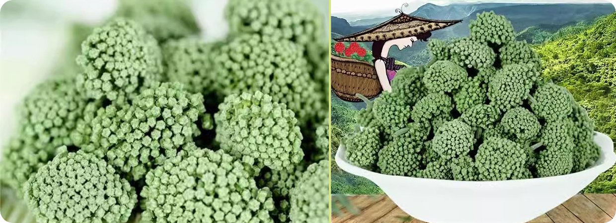 Sanqi Flower Buds Essential Oil 