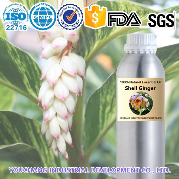 Shell Ginger Essential Oil