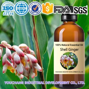 Shell Ginger Essential Oil