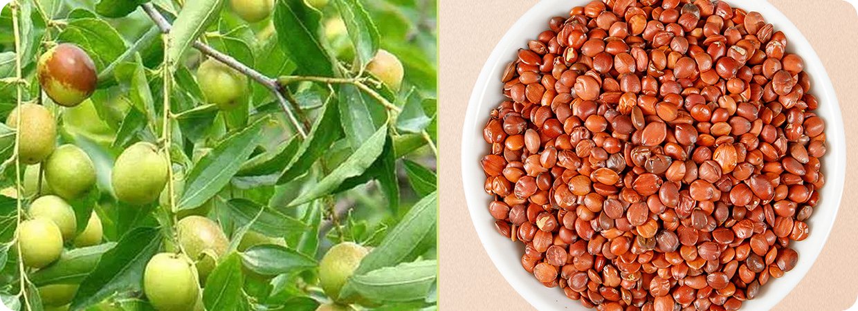 Sickle Senna Seed Essential Oil 