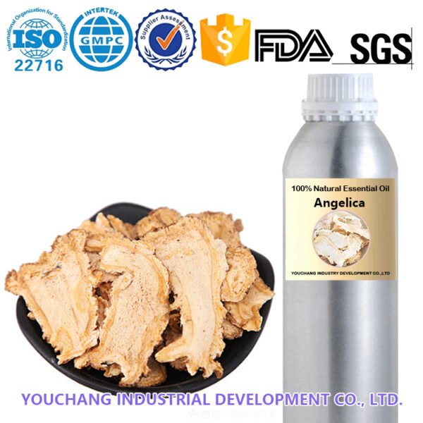 Steam Distilled Angelica Root Oil