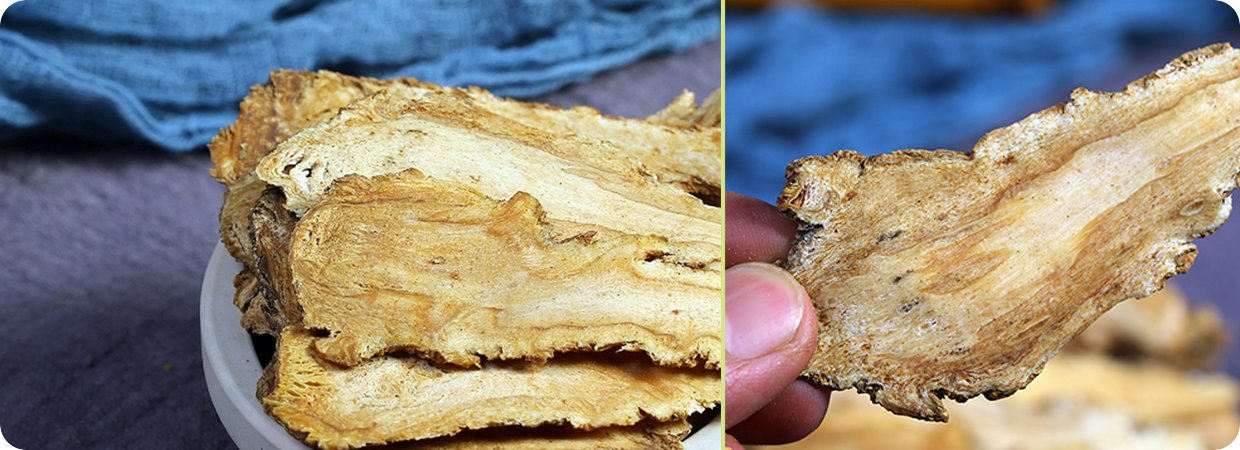 Steam Distilled Angelica Root Oil 