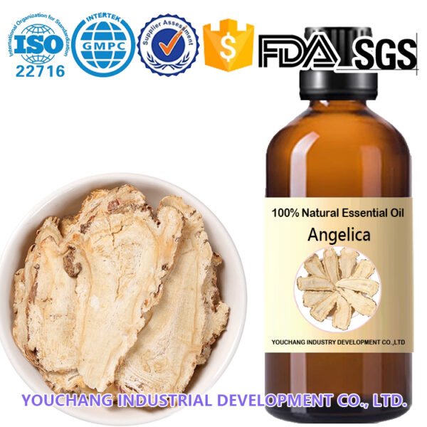 Steam Distilled Angelica Root Oil