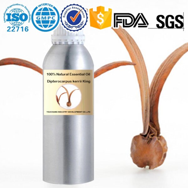 Steam Distilled Dipterocarpus Kerrii Oil