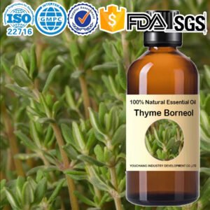 Thyme Borneol Essential Oil