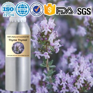 Thyme Thymol Wholesale Essential Oils