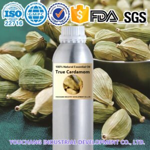True Cardamom Essential Oil
