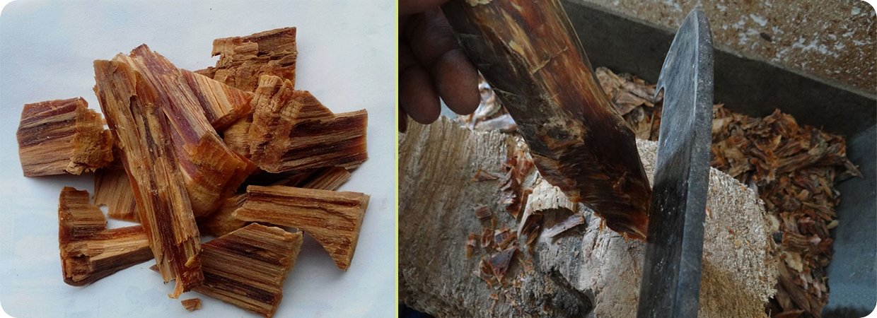Turpentine Natural Healing Oils 