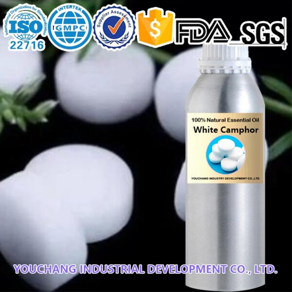White Camphor Essential Oil