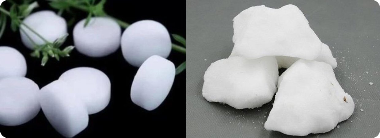 White Camphor Essential Oil 