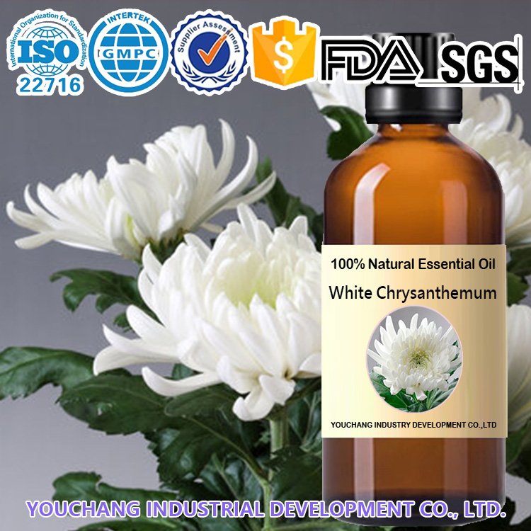 White Chrysanthemum CO₂ Oil