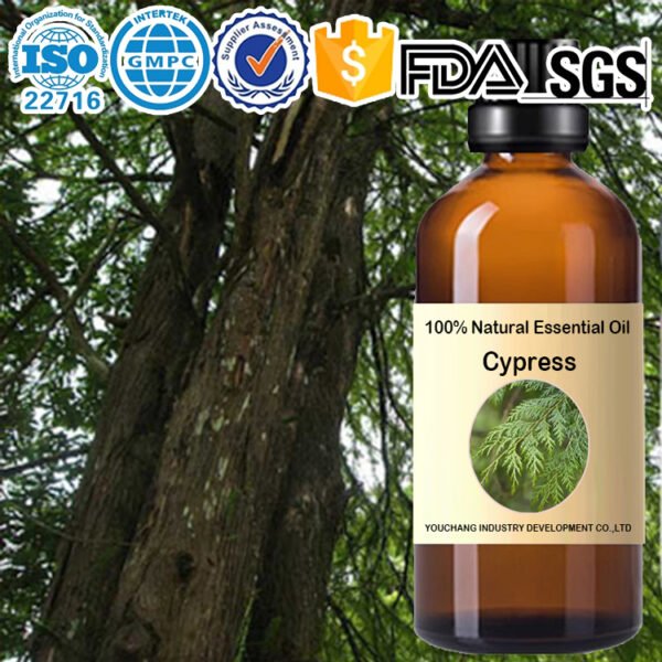 Wholesale Hinoki Cypress Essential Oil