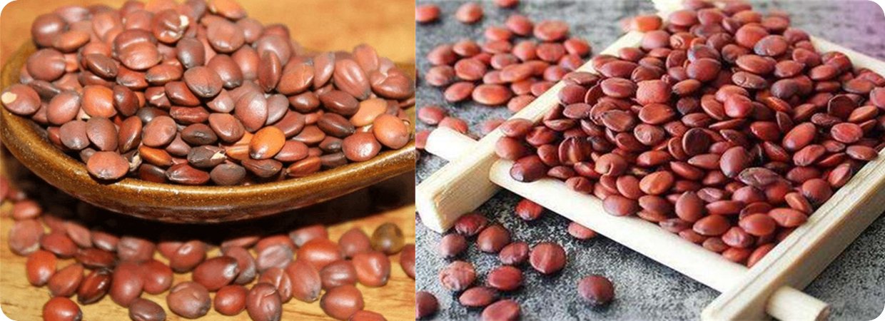 Wild Jujube Essential Oil 