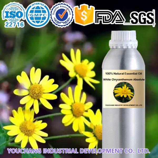 Yellow Chrysanthemum Absolute Oil