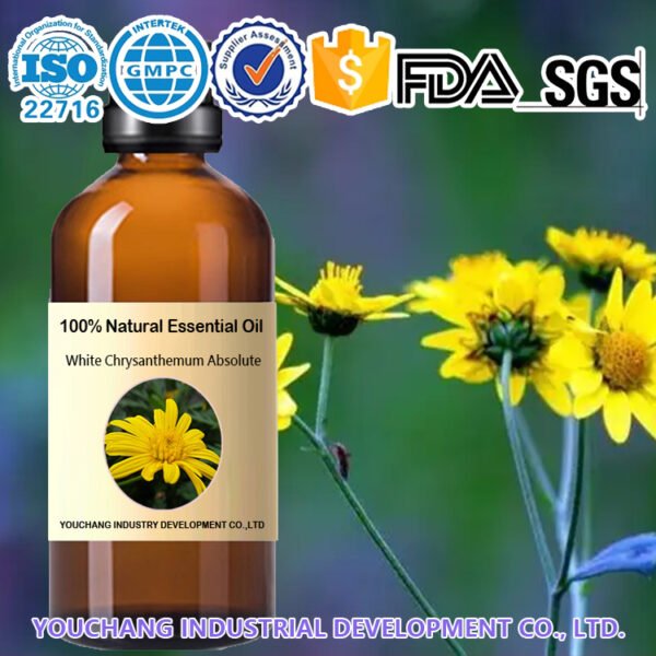 Yellow Chrysanthemum Absolute Oil