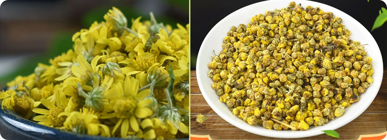 Yellow Chrysanthemum Concrete Oil 02