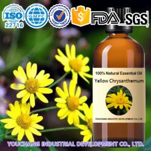 Yellow Chrysanthemum Essential Oil