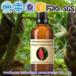 Zingiber Corallinum Hance Natural Essential Oils