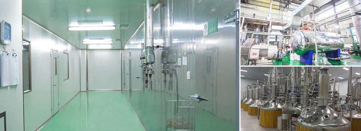 Essential Oil Factory