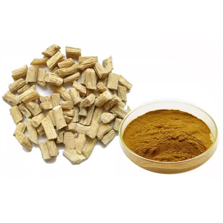 Achyranthes Bidentata Extract – TCM-Grade Natural Anti-Inflammatory for Joint & Bone Health in Bulk Supply