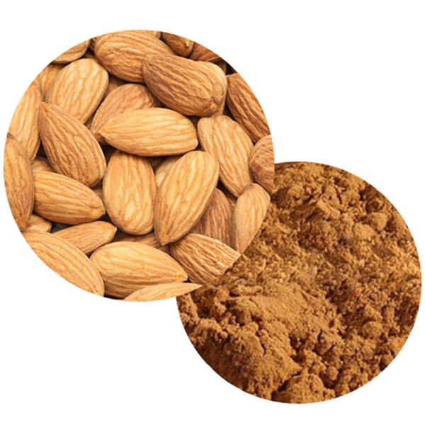 Almond Extract – Vitamin E & Antioxidant-Rich Ingredient for Skin Health and Functional Nutrition, cGMP Certified Bulk Supply