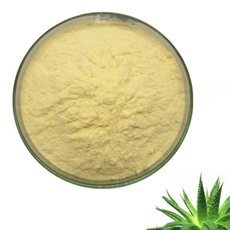 Aloe Vera Gel Extract – COSMOS-Certified Botanical for Sunburn Relief & Digestive Health | Pharma-Grade Bulk Supply