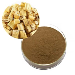 Aloe Vera Root Extract – Natural Moisturizing & Anti-inflammatory Botanical Ingredient – cGMP & ISO Certified Bulk Supply for Supplements and Skin Care