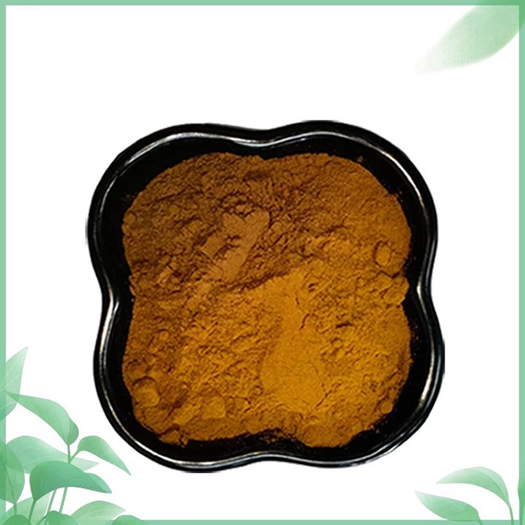 Alpinia Galanga Extract Powder – Halal Certified Digestive Herb with Southeast Asian Flavor, Organic Bulk Supply for B2B Wholesale