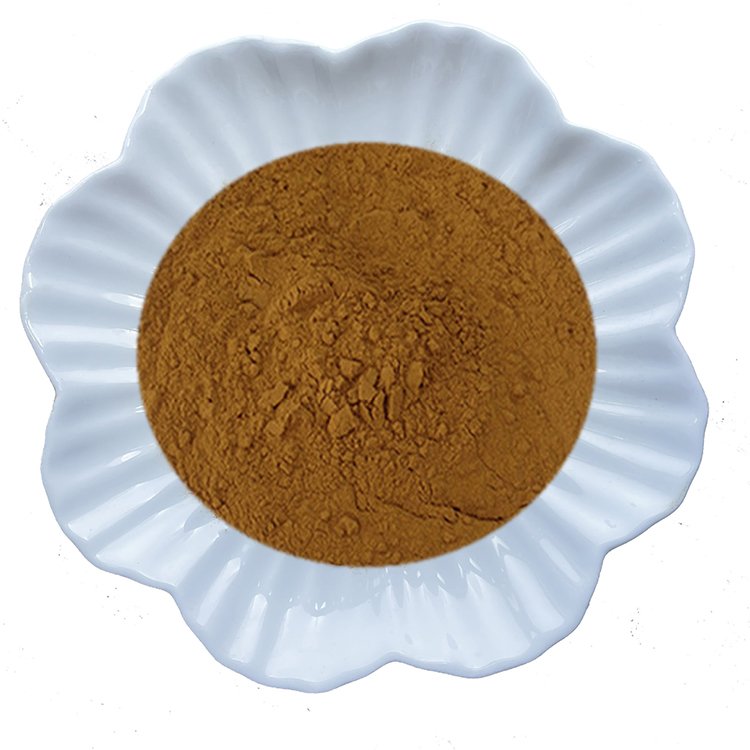 Alpinia Oxyphylla Extract – Cognitive Enhancer & Tonic Herb for Traditional Medicine and Supplements | Certified Bulk Supply