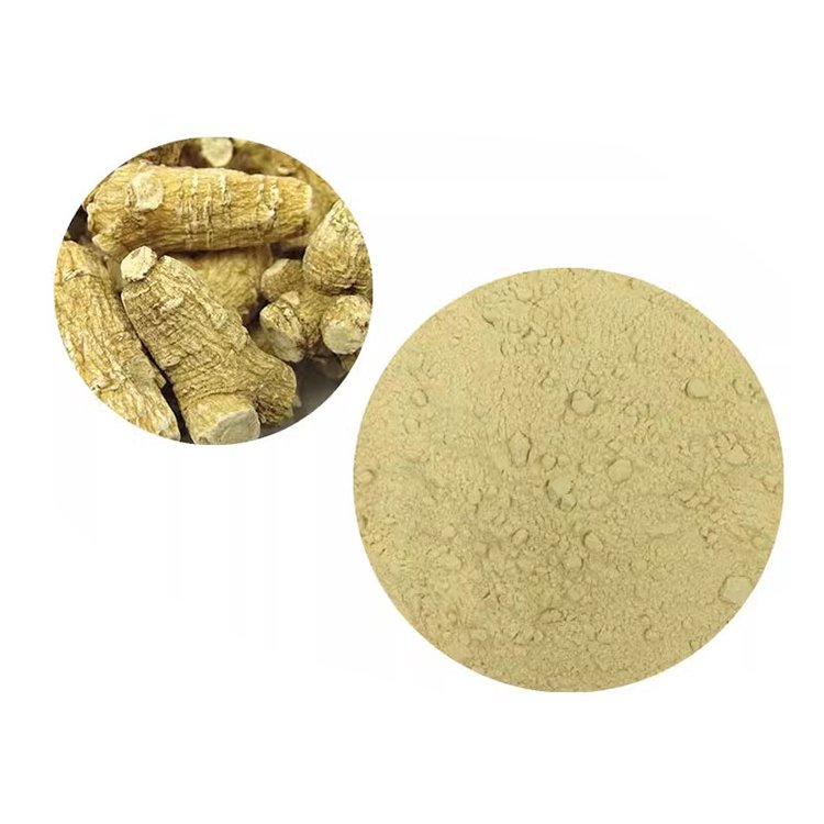 American Ginseng Extract – cGMP & Kosher Certified Herbal Ingredient for Energy and Brain Support in Dietary Supplements