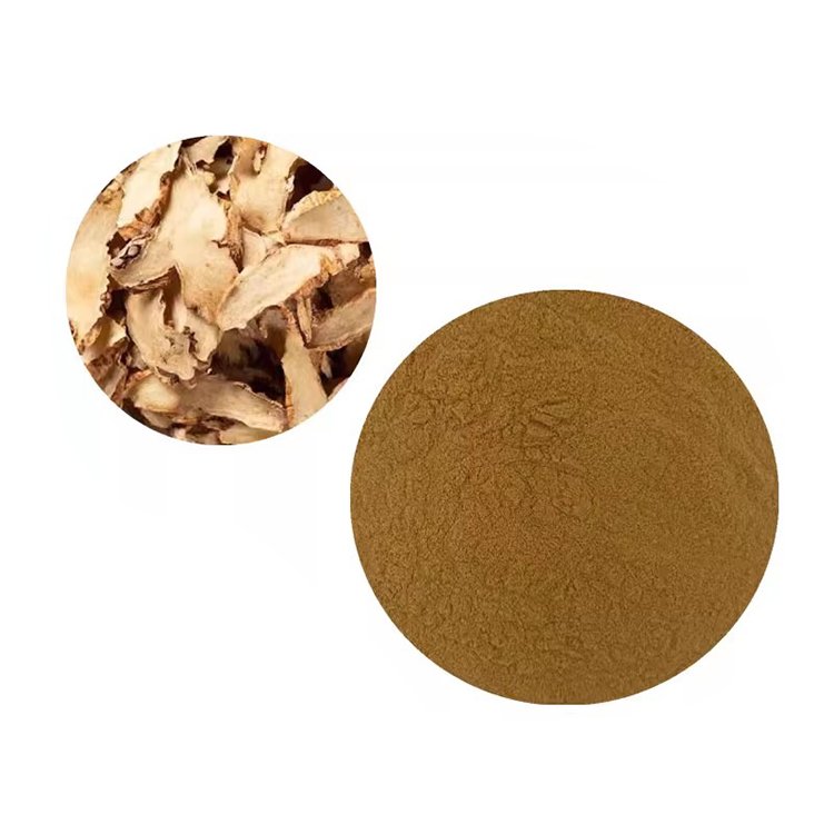 Anemarrhena Rhizome Extract Powder – Natural Coolant & Fever Relief for Herbal Formulations | TCM-cGMP Certified Ingredient