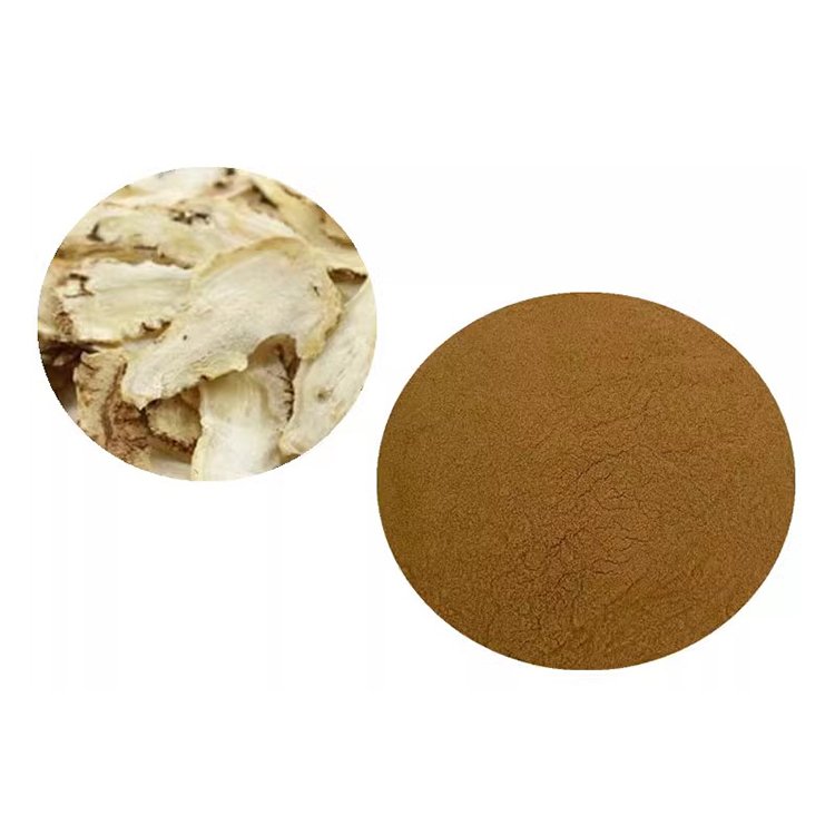 Angelica Sinensis Extract Powder – Fermented Dong Quai for Women’s Health, Hormonal Balance & Menstrual Comfort | Pharma-Grade Bulk