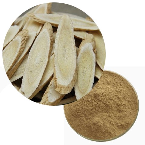 Astragalus Extract – ISO Certified Immune Fortifier Rich in Polysaccharides for Elderly Nutrition and Veterinary Use, Bulk Supply